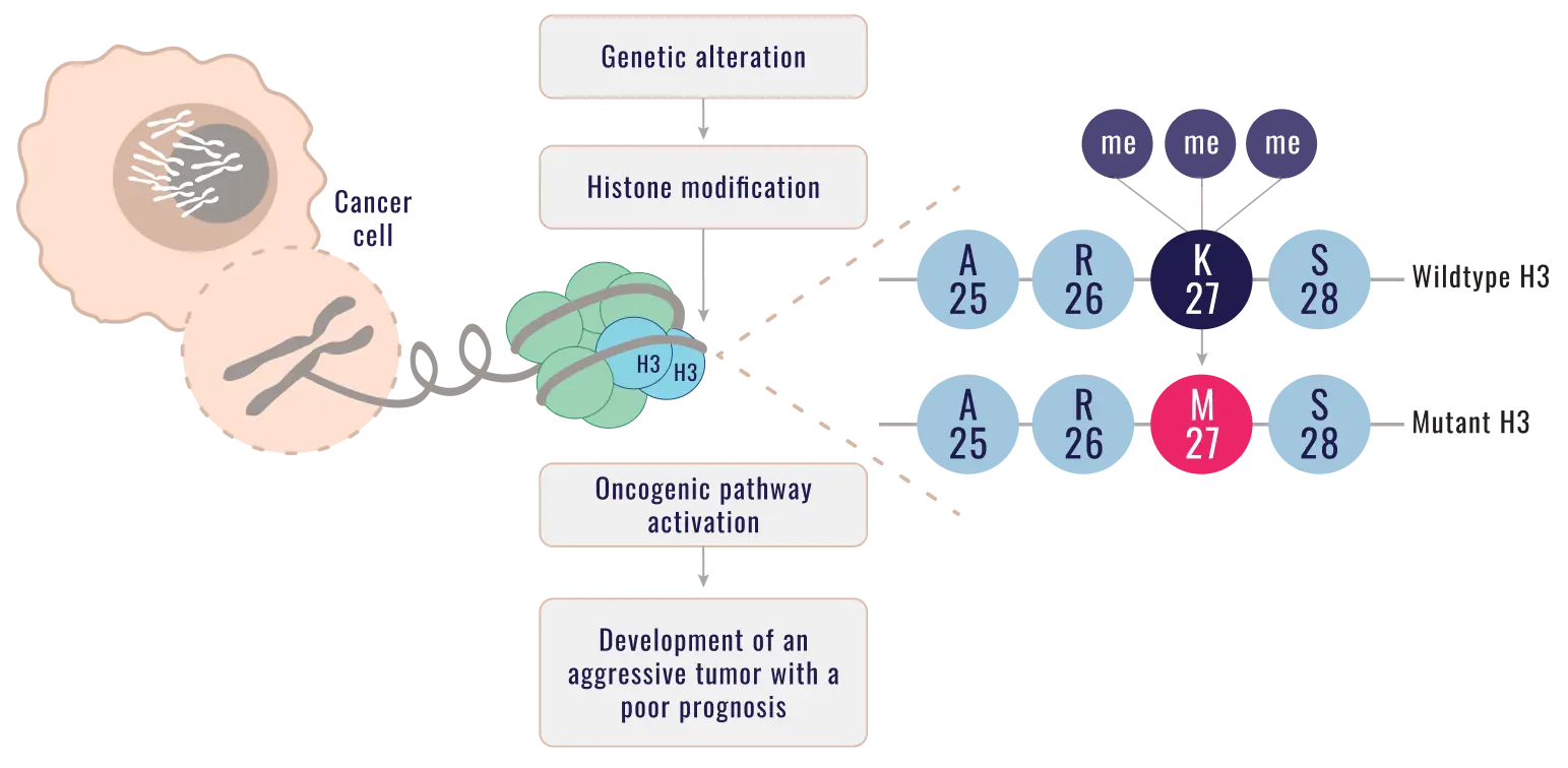 Mutated/Altered Molecular Pathway Flow chart of molecular and cellular changes driven by H3 K27M mutation, specifically histone trimethylation loss and downstream effects